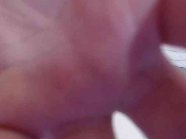 curvy-cumeater webcam