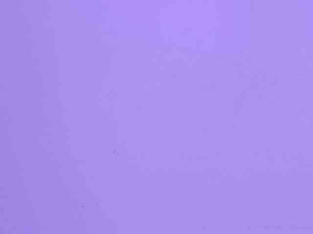 BelaJones webcam