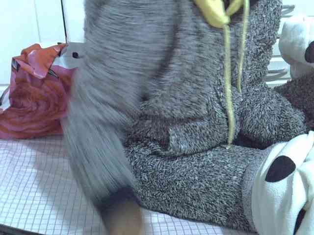 Peach24 webcam