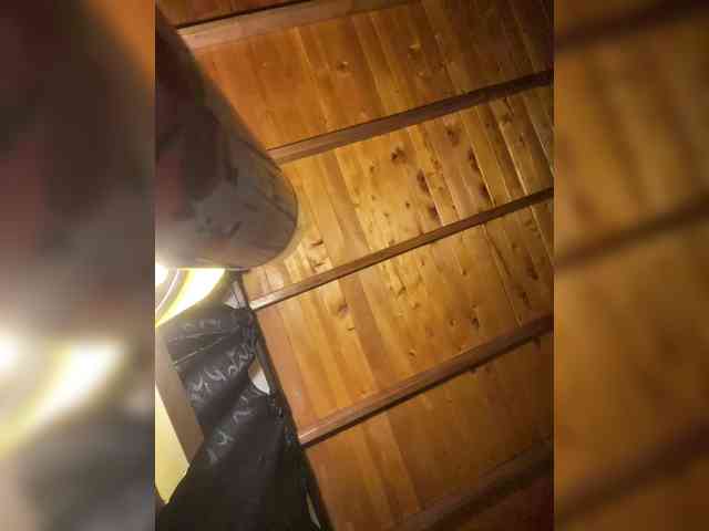 Samm4444