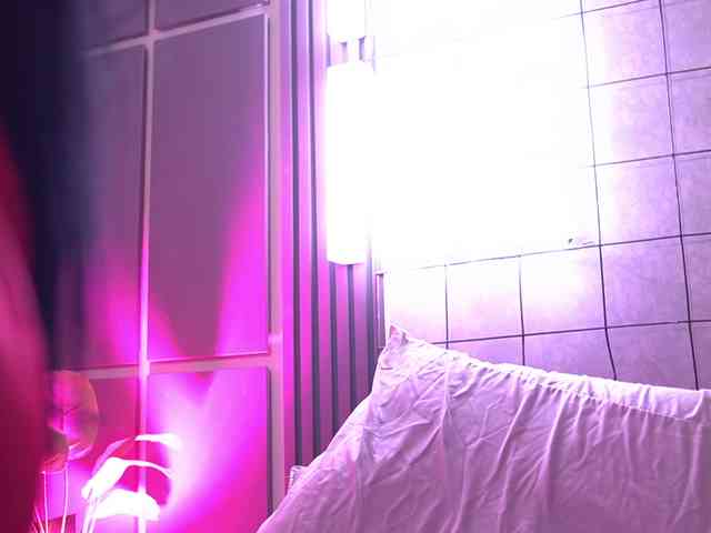 SusanWall webcam