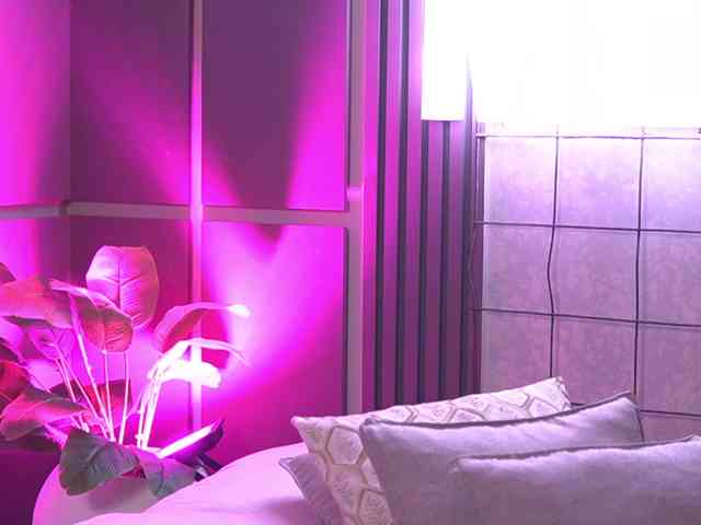 SusanWall webcam