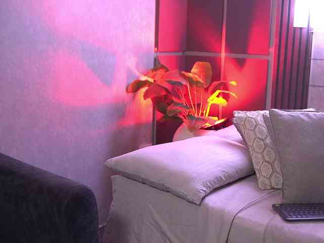 SusanWall webcam