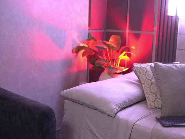 SusanWall webcam