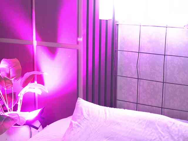 SusanWall webcam