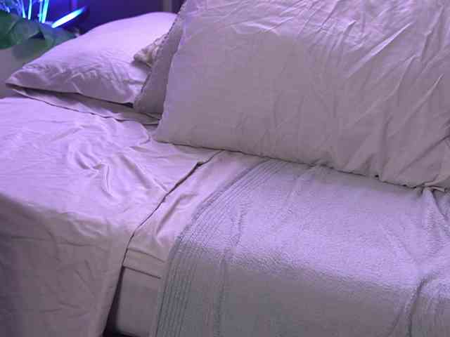 SusanWall webcam