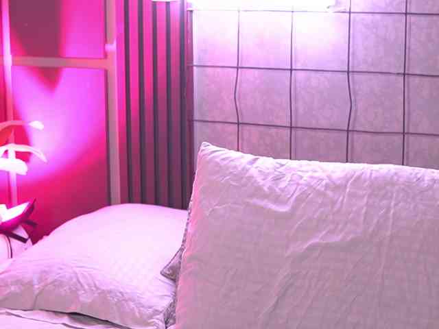 SusanWall webcam