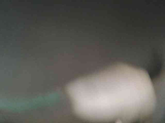 Hot-Sherrryll webcam