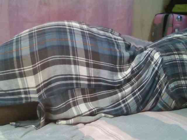 Hot-Sherrryll webcam