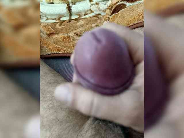 Ledenec1-8 Ledenec1-8