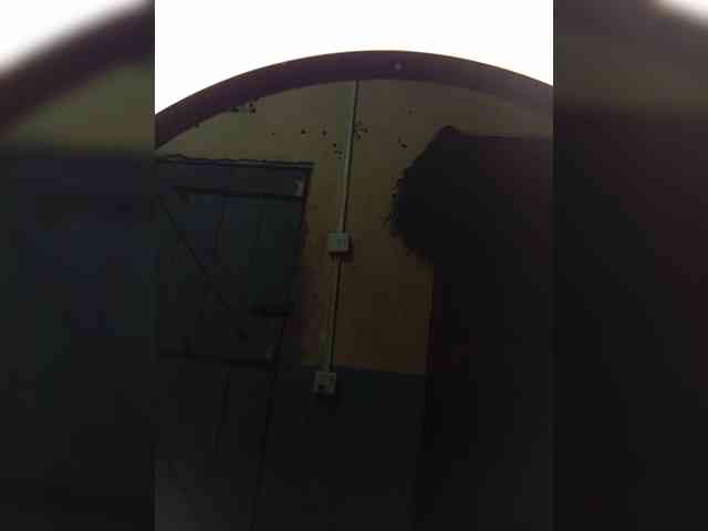 Marylb webcam