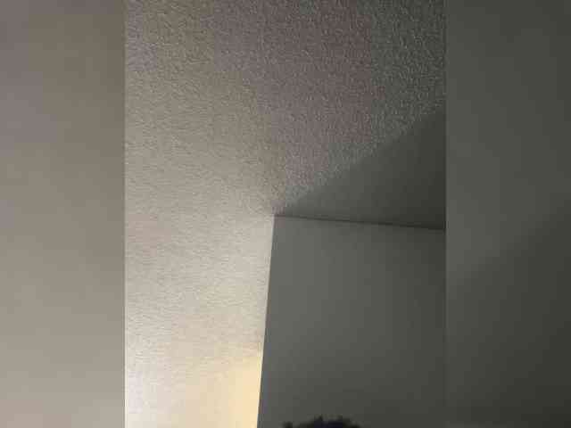 Willyandchrissy webcam