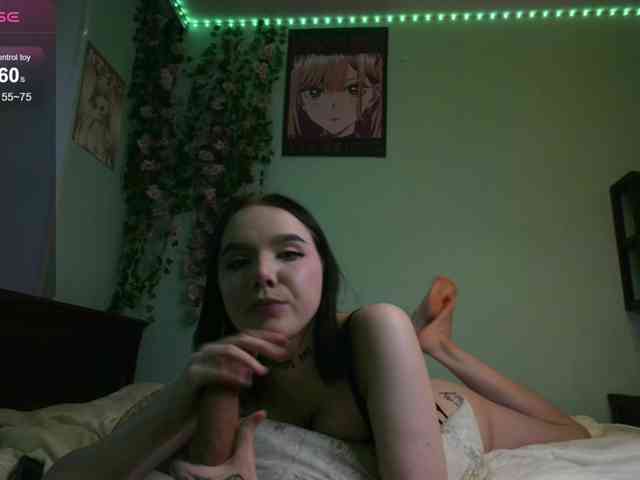 WexStella webcam