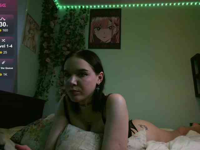 WexStella webcam