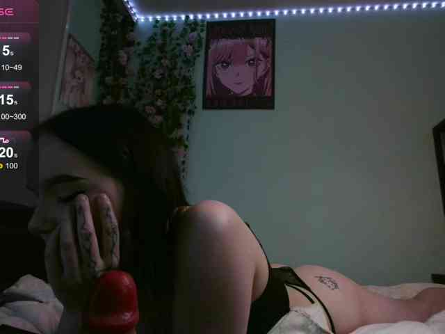 WexStella webcam