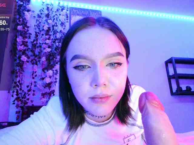 WexStella webcam