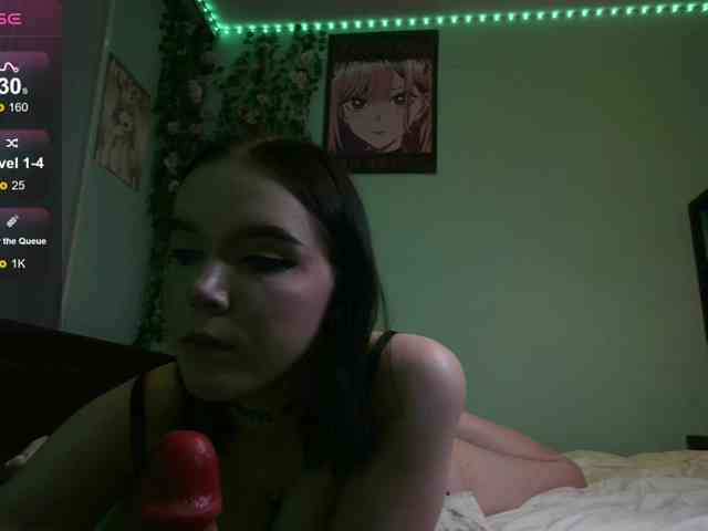 WexStella webcam