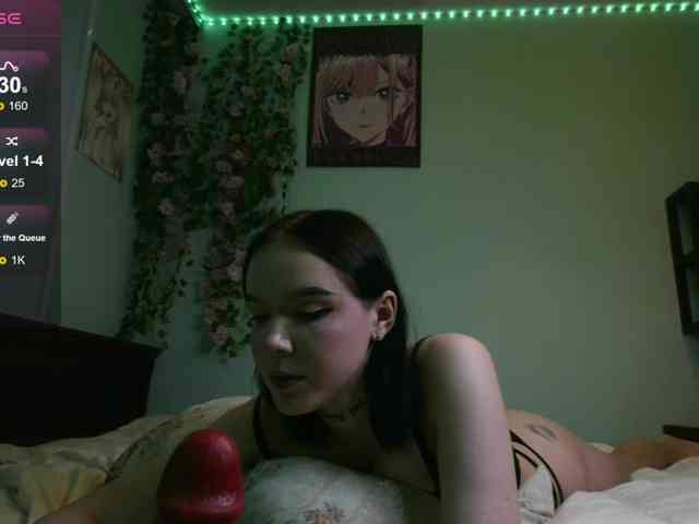 WexStella webcam
