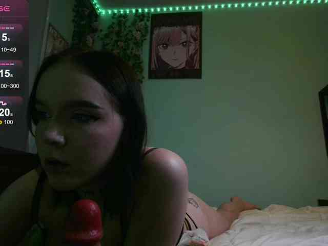 WexStella webcam