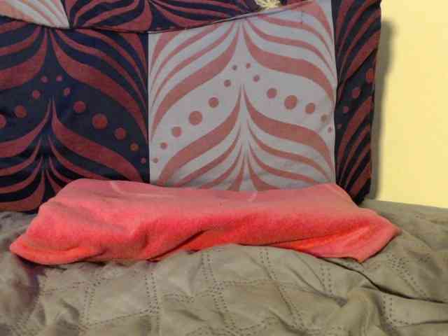 Tisha-amore webcam