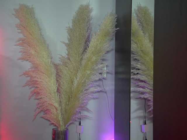 AnnaPurnaa на boncams