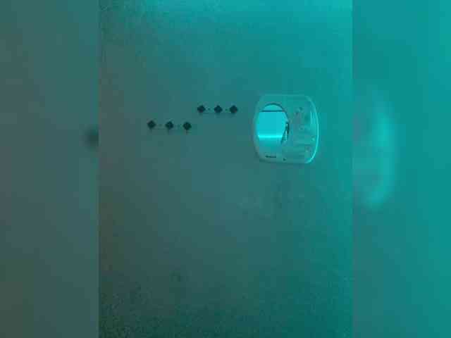 sucking_vampire webcam