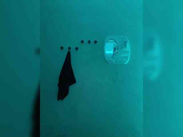 The_villainess webcam