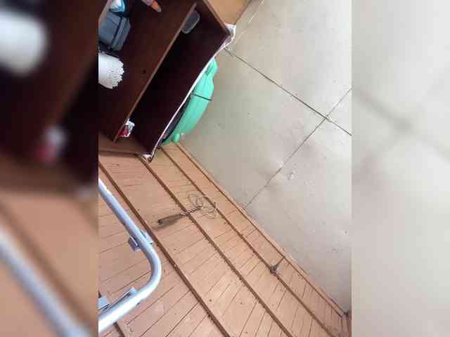 Nelli-1 webcam