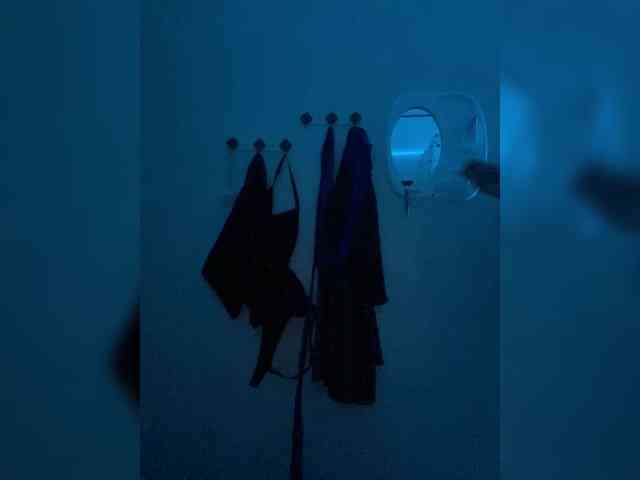 Nelli-1 webcam