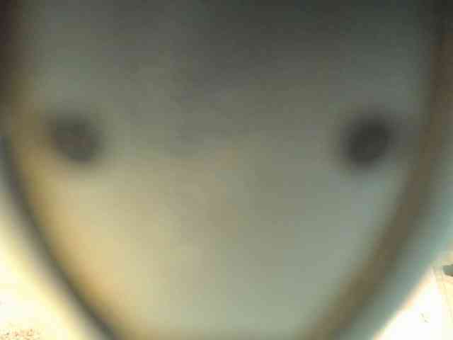 Nicolv webcam