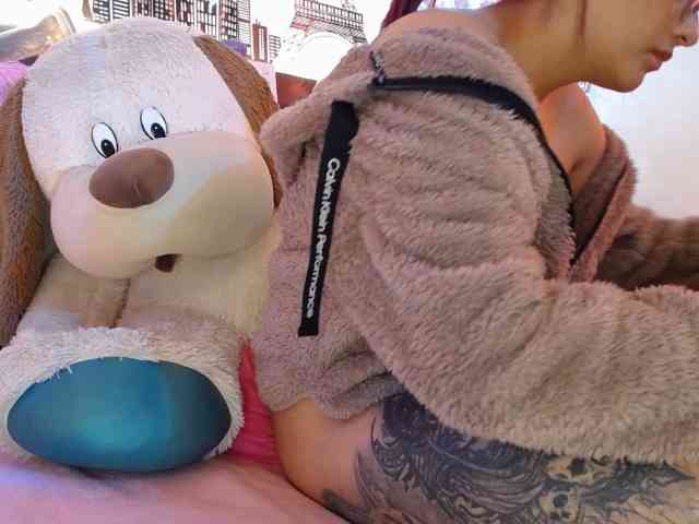 Nicolv webcam