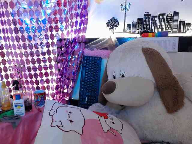 Nicolv webcam