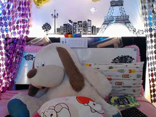 Nicolv webcam