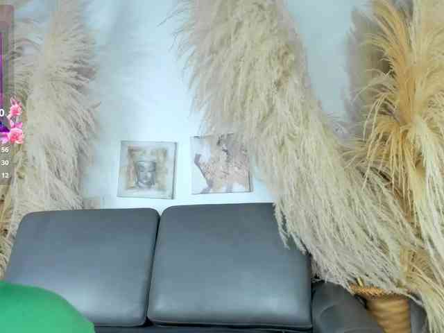 yara-hind webcam