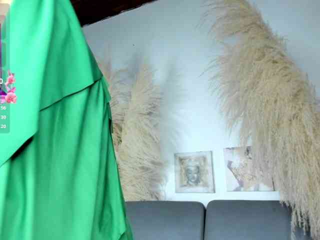 yara-hind webcam