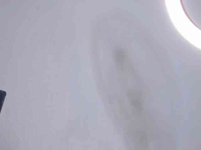 zayha-rush webcam