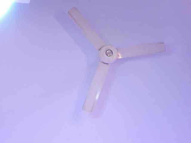 zayha-rush webcam