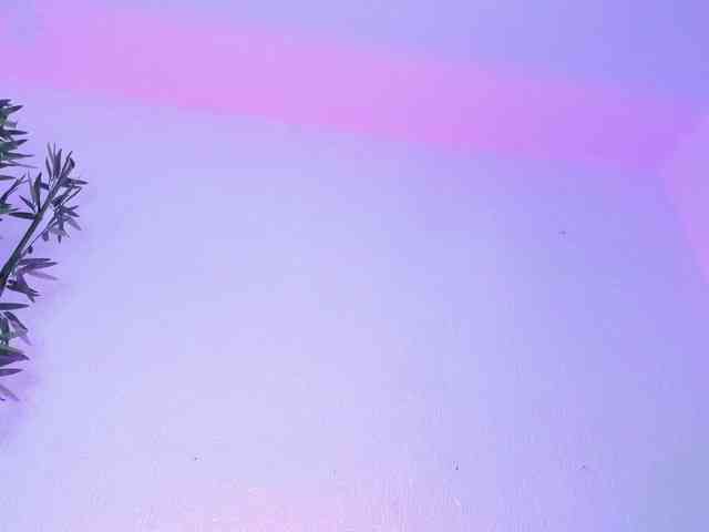 zayha-rush webcam