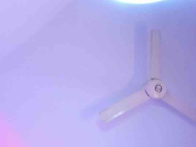 zayha-rush webcam