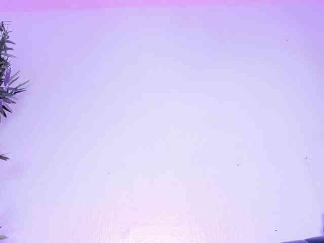 zayha-rush webcam
