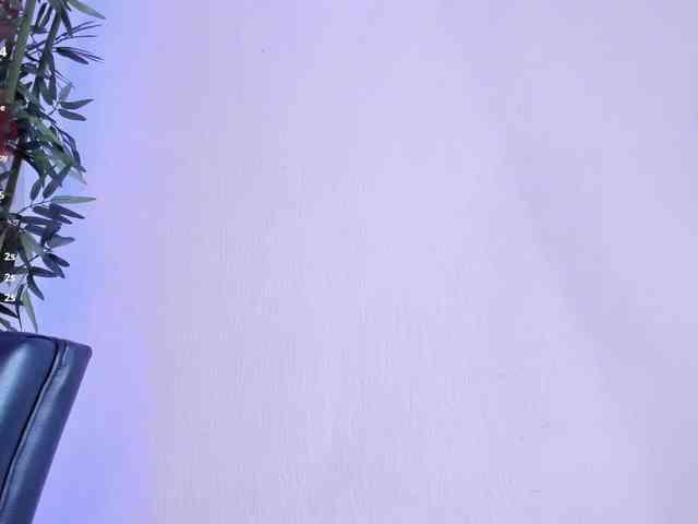 zayha-rush webcam