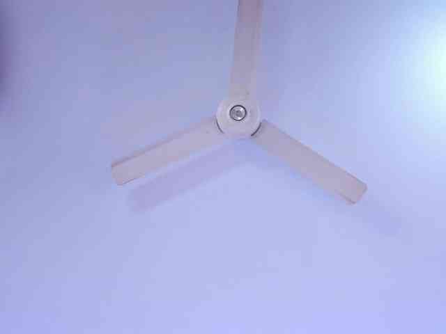 zayha-rush webcam