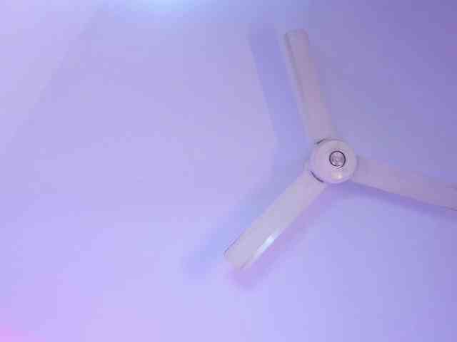 zayha-rush webcam