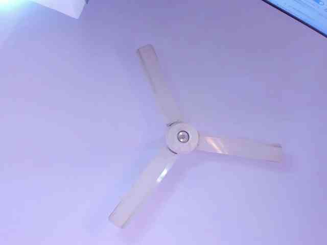 zayha-rush webcam