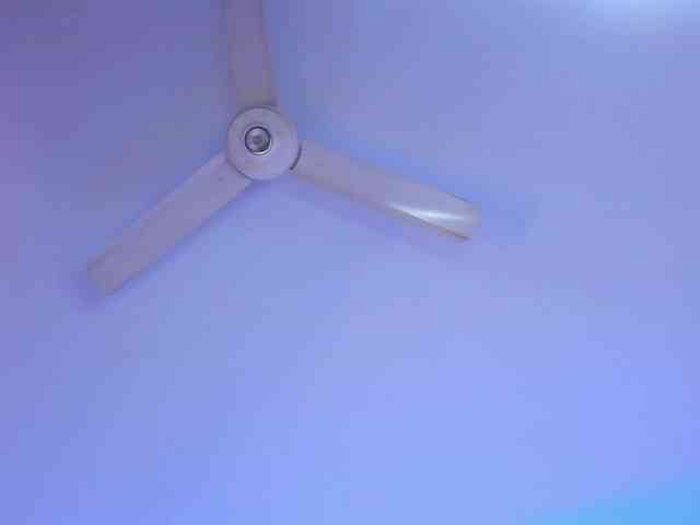 zayha-rush webcam