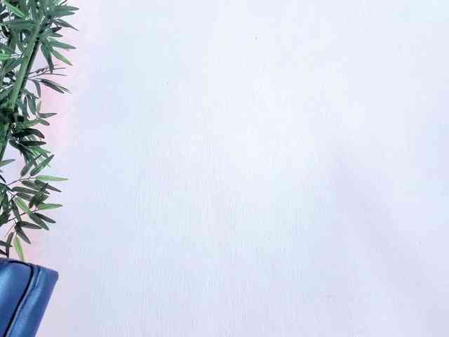 zayha-rush webcam