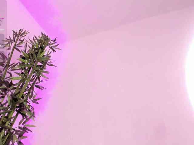 zayha-rush webcam