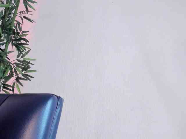 zayha-rush webcam
