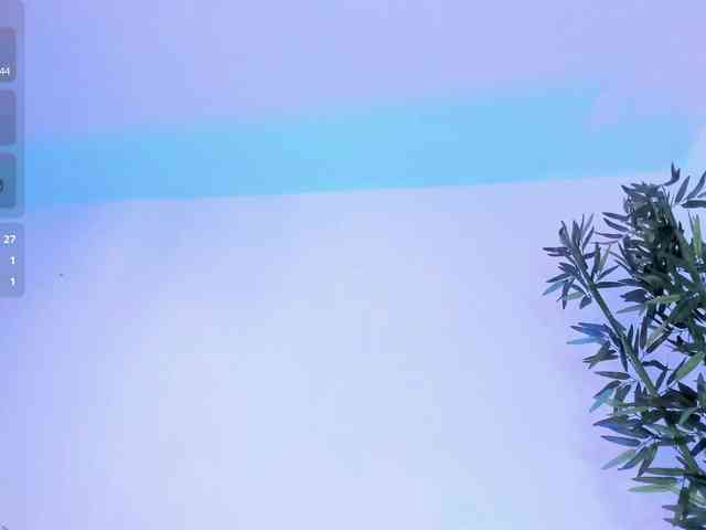 zayha-rush webcam