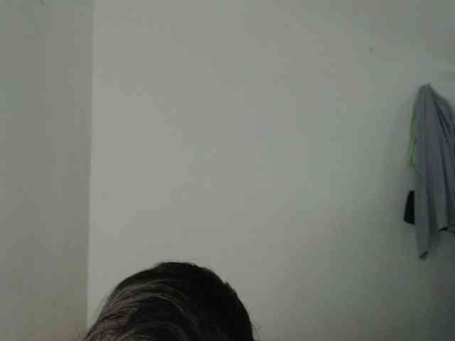 stefha webcam